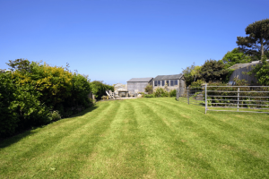 2 STEEPFIELD | BANTHAM