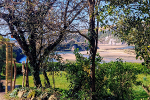 White Horses | Main House | Bantham
