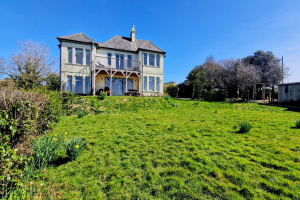 White Horses | Island View | Bantham