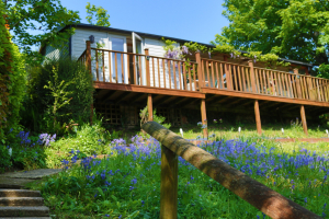 TREETOPS | BUCKLAND PARK | BANTHAM