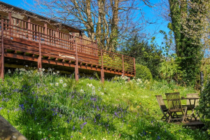 TREETOPS | BUCKLAND PARK | BANTHAM